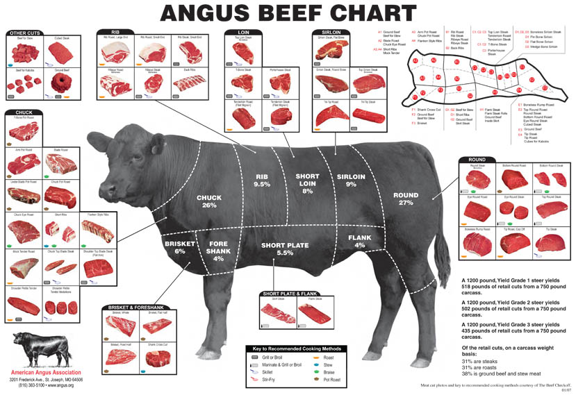 Steak-ology 101
